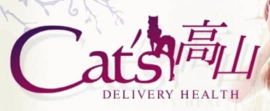 https://www.cats-takayama.net/