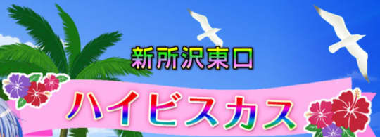 ハイビスカス