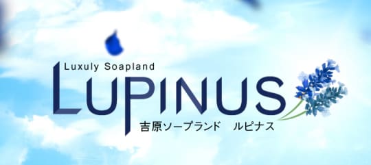 ルピナス