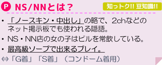 NN/NSとは