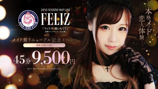 フェリスTOP画像