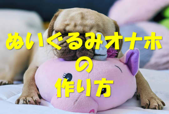 ぬいぐるみと犬