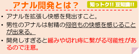 アナル開発とは？