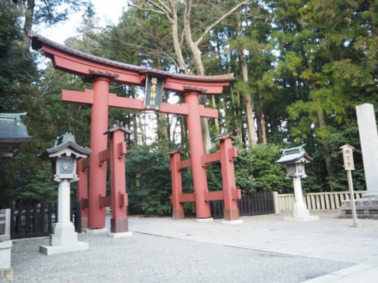 弥彦神社の鳥居