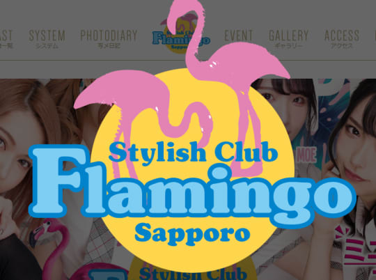 【Flamingo Flamingo