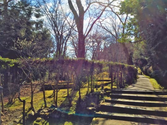 法輪寺庭園２