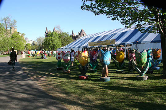 カナダ　オタワ　メイジャーヒルズ公園