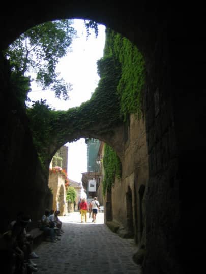 イタリア　ツタ