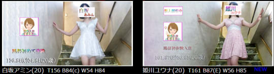 牛若丸の在籍一覧画像