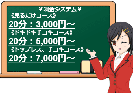 鑑賞ガールの料金システム
