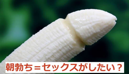 男子は朝立ちしてるとセックスしたくなる?