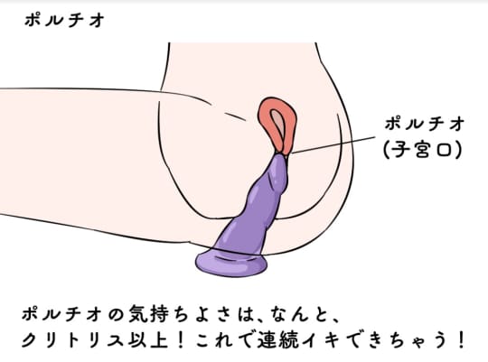 ポルチオ
