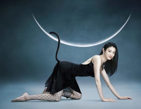 芸能人 ハメ撮り