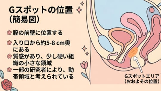 Gスポット オナニー