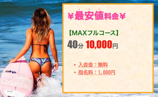 業界未経験.MAXの料金表