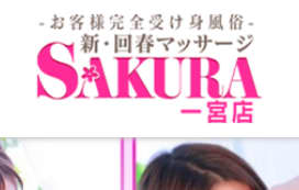 https://aichi-sakura.com/top.php
