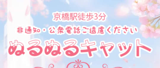 ぬるぬるキャット