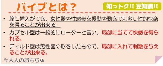 バイブとは？