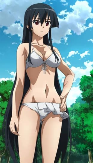 アカメが斬る！