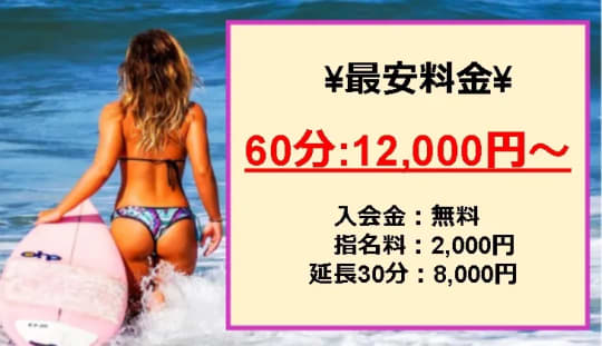 麗しき人妻三姉妹の料金システム
