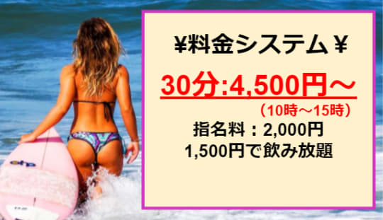 ラッシュの料金表