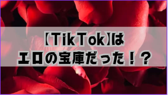 TikTok　エロ