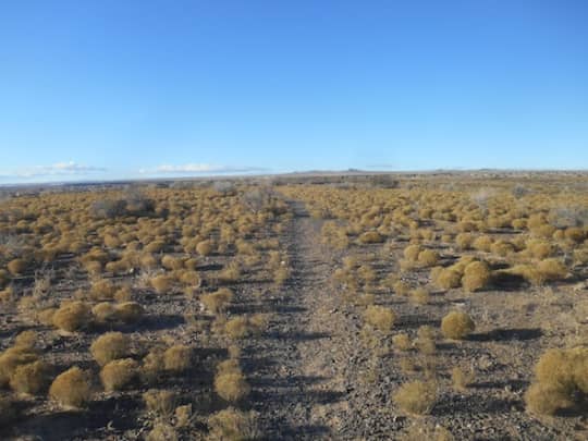 ペトログリフ国立史跡の風景