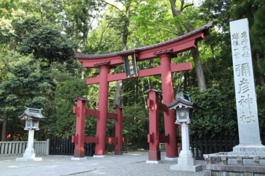 彌彦神社　鳥居