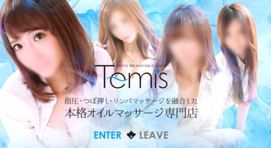テミスのトップっページ画像