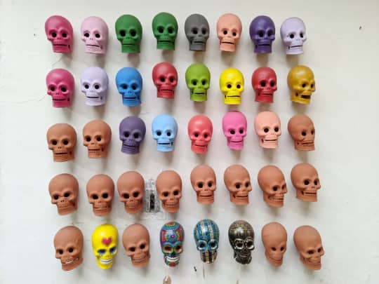 SKIN SKULLS