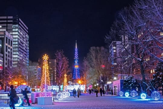 夜の大通り公園