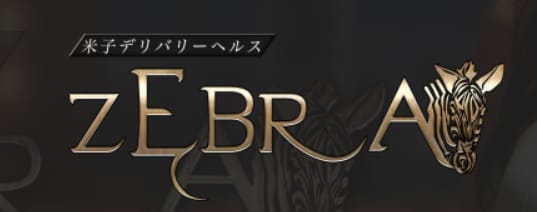 https://zebra-sanin.com/