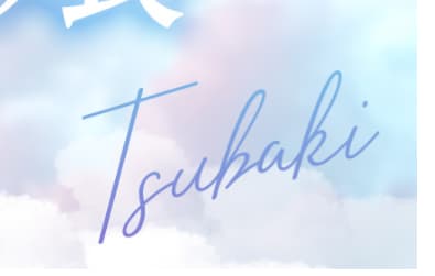 TSUBAKI(ツバキ)