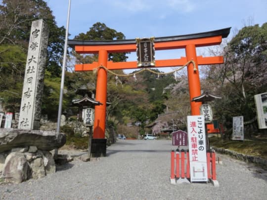 日吉大社鳥居