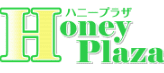五反田ハニープラザのTOP画像