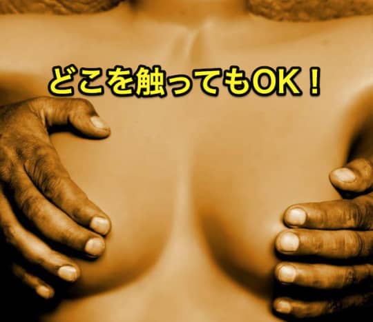 ピンサロどこを触ってもOK