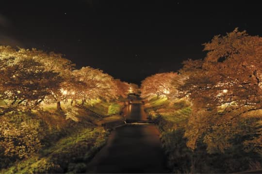 磐梯熱海温泉発！桜めぐりコース
