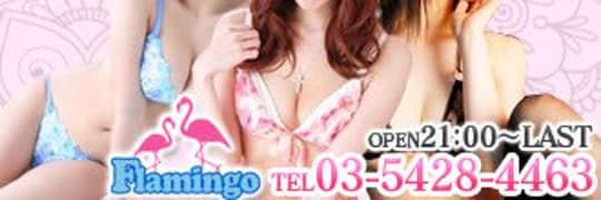 フラミンゴ