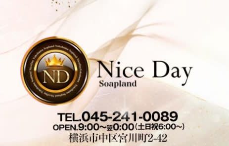 ナイスデイ