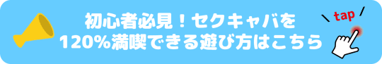 初めてのセクキャバ