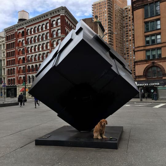 ニューヨーク　『Alamo Cube』