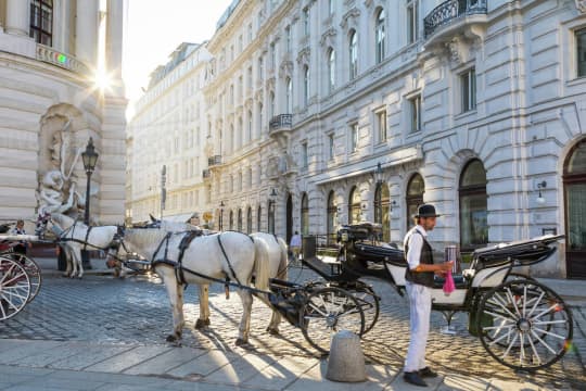 ウィーン市内の観光馬車