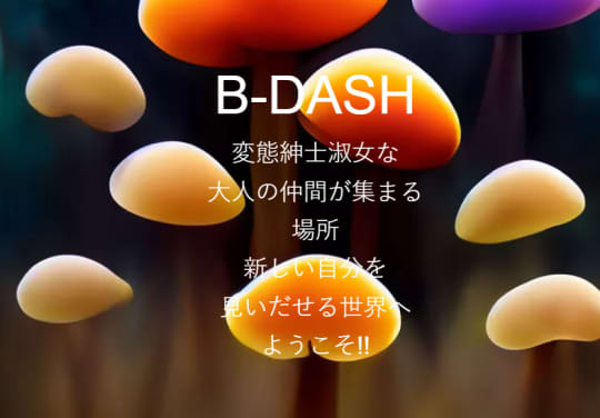 https://b-dash.bar/
