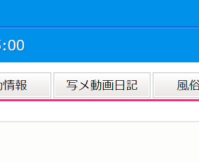 風俗情報サイトの画像