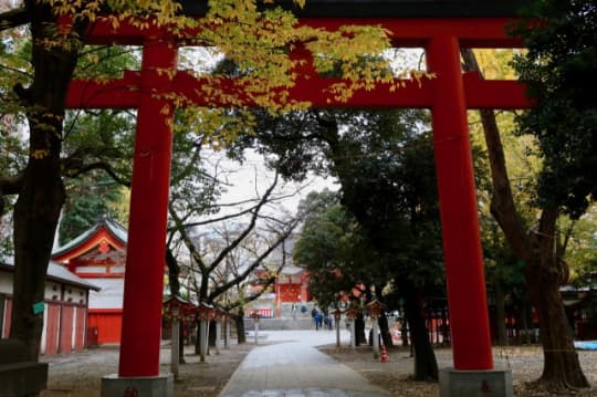 花園神社の鳥居