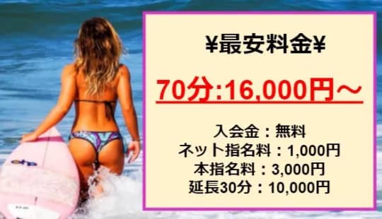 はちみつの料金表