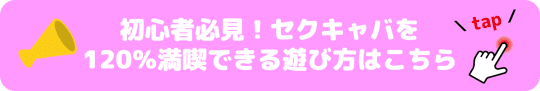 はじめてのセクキャバ