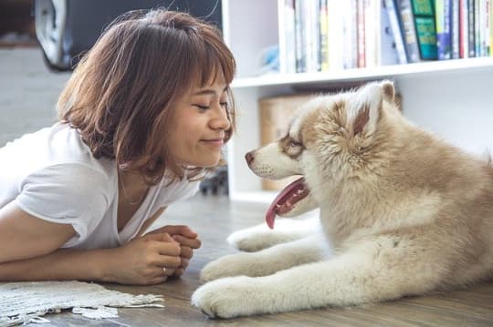 犬とたわむれる女性