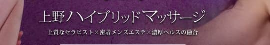 上野ハイブリッドマッサージロゴ