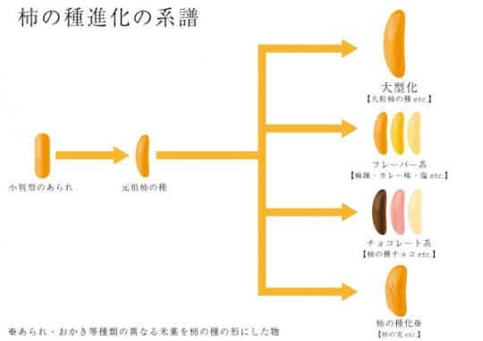 柿の種の進化